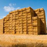 Answer HAY STACK