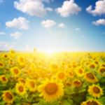 100 pics ON THE FARM