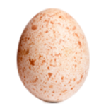 100 pics E is for...