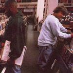 Answer ENDTRODUCING