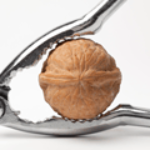 100 pics N is for...