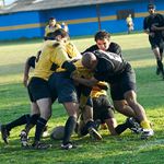 Réponse RUGBY