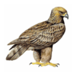 100 pics ANIMAL KINGDOM 2