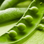 100 pics P is for...