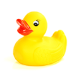 100 pics R IS FOR...