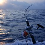 Risposta DEEP SEA FISHING