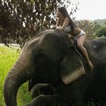 Lösung RIDE AN ELEPHANT