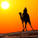 100 pics EXPERIENCES